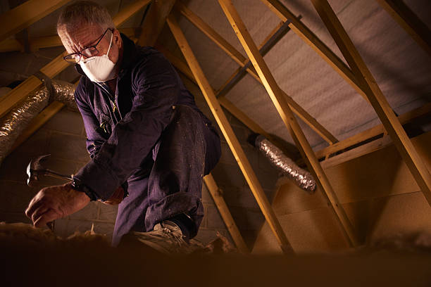 Best Geographic-Specific Insulation Services in Airy Heights, WA